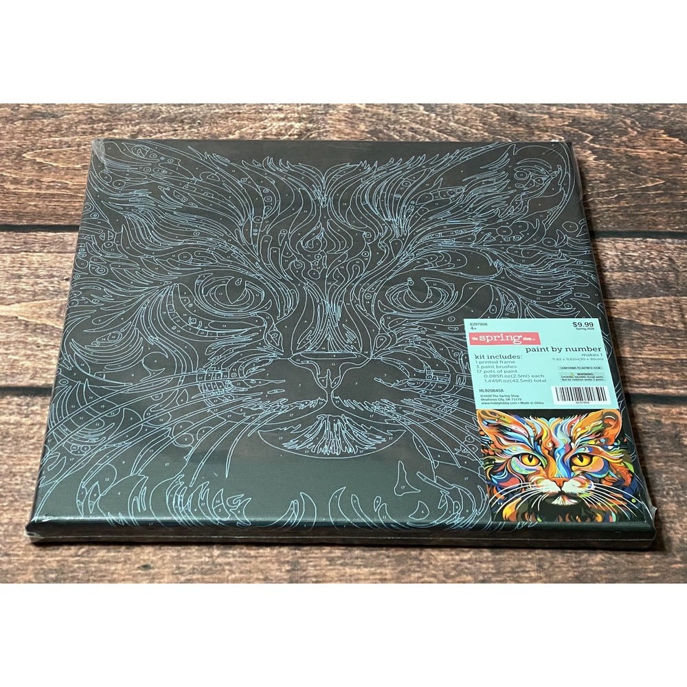 Colorful Cat Face on Black Canvas Paint by Number Kit Hobby Lobby New